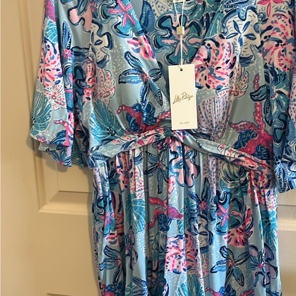 Lilly Pulitzer Blue and Pink Patterned Dress